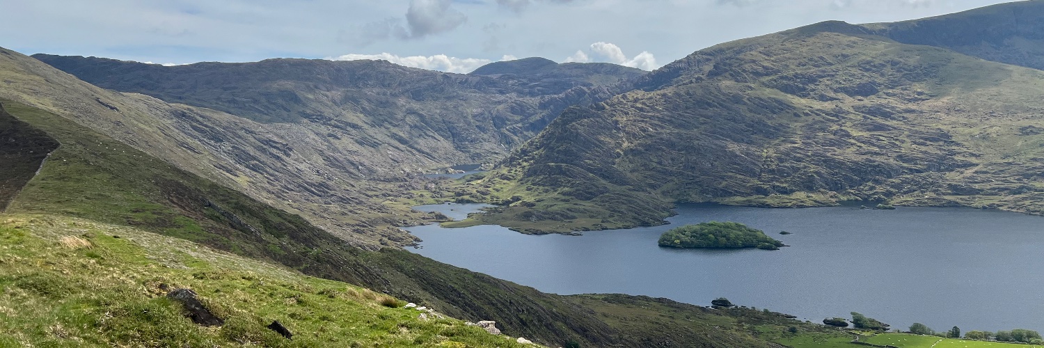 Kevin Harrell banner