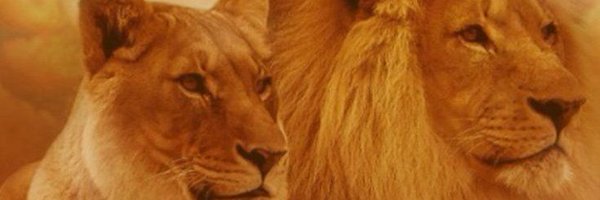 808CQVFEFE Profile Banner