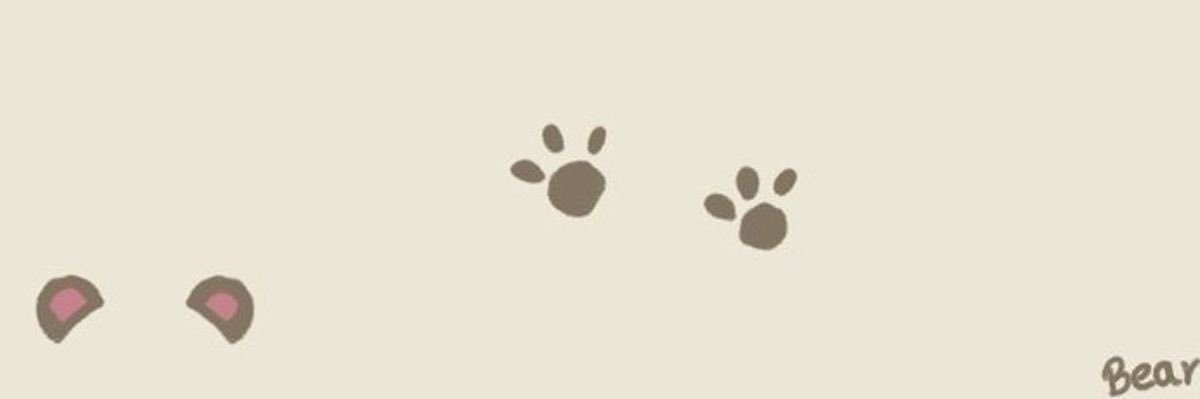 🐻chaerbear🐻 banner