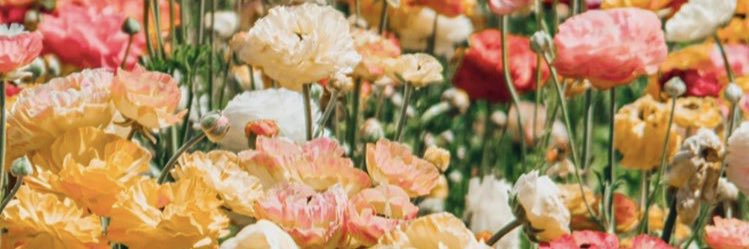9_Baylee's profile banner image