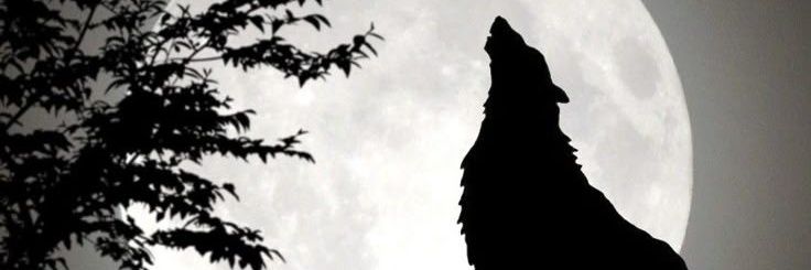 Shahd ND 🐐👑 🐺 banner