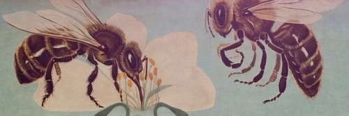 science_goddess's profile banner image
