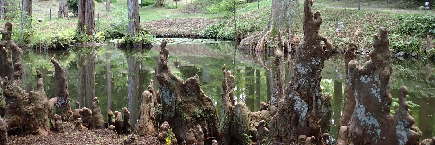 森山樹林日月 banner