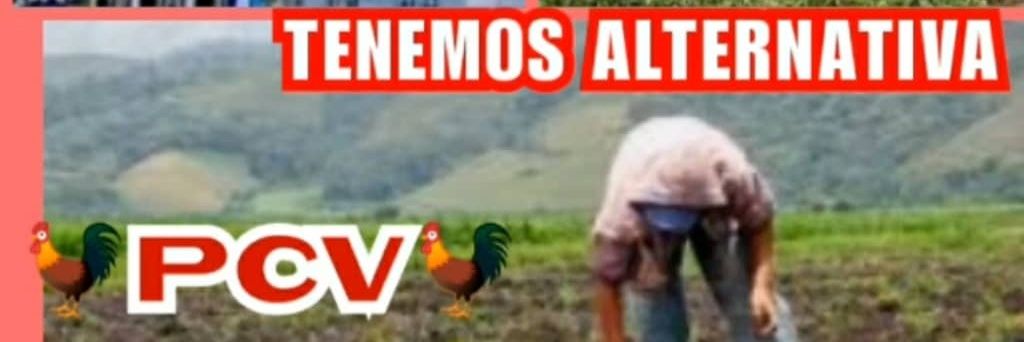 Célula Alí Primera Timotes Mérida PCV banner
