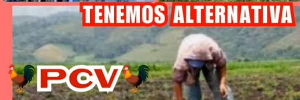 Célula Alí Primera Timotes Mérida PCV Profile Banner