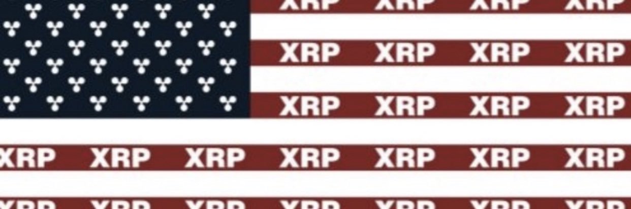 XRPDanish's profile banner image