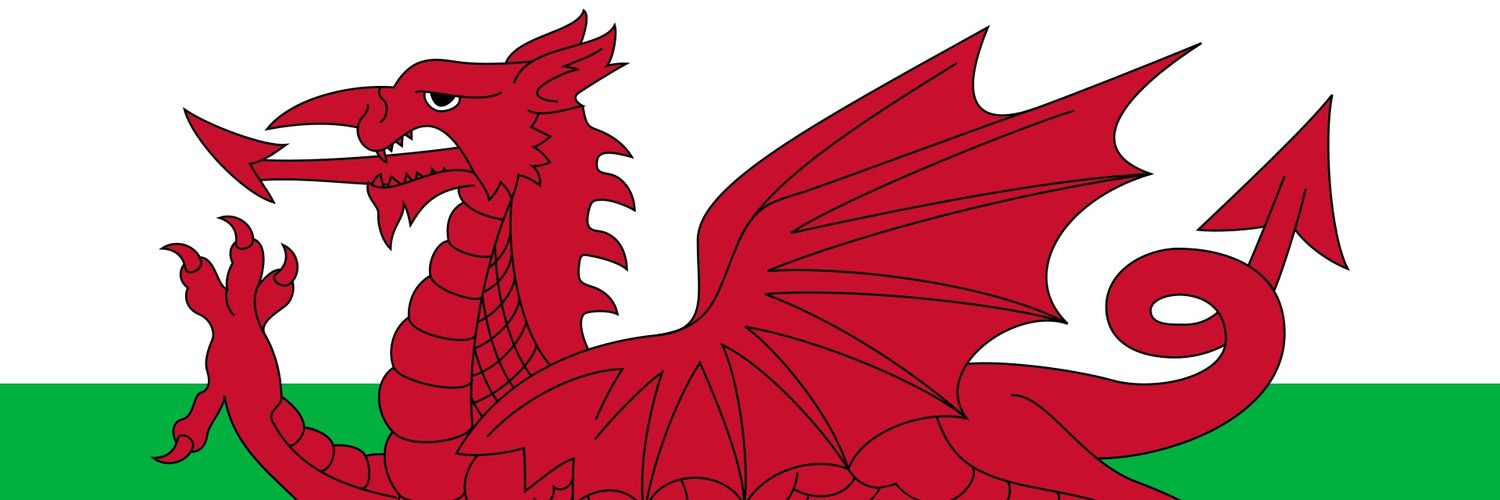 Adam, South Wales banner