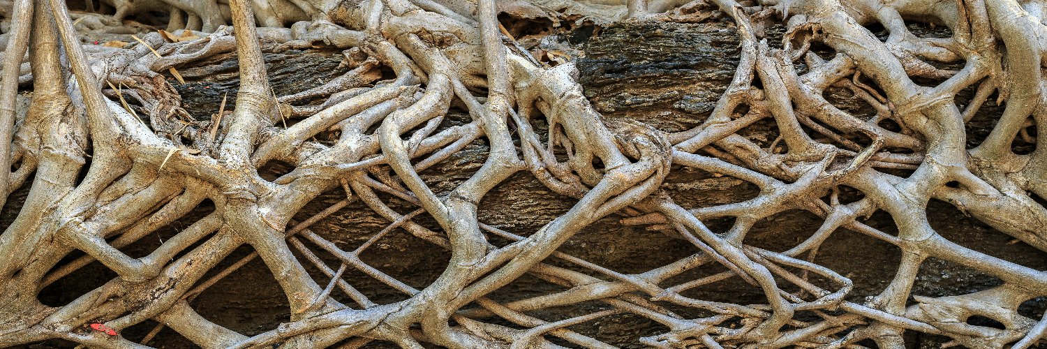 Sustainability Lab, University of Oslo banner