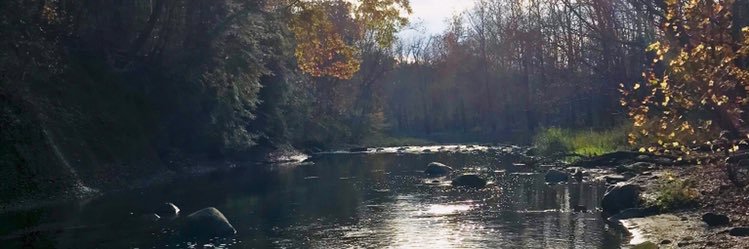 kara_simon4's profile banner image