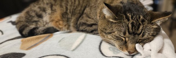 JustOkJustin Profile Banner