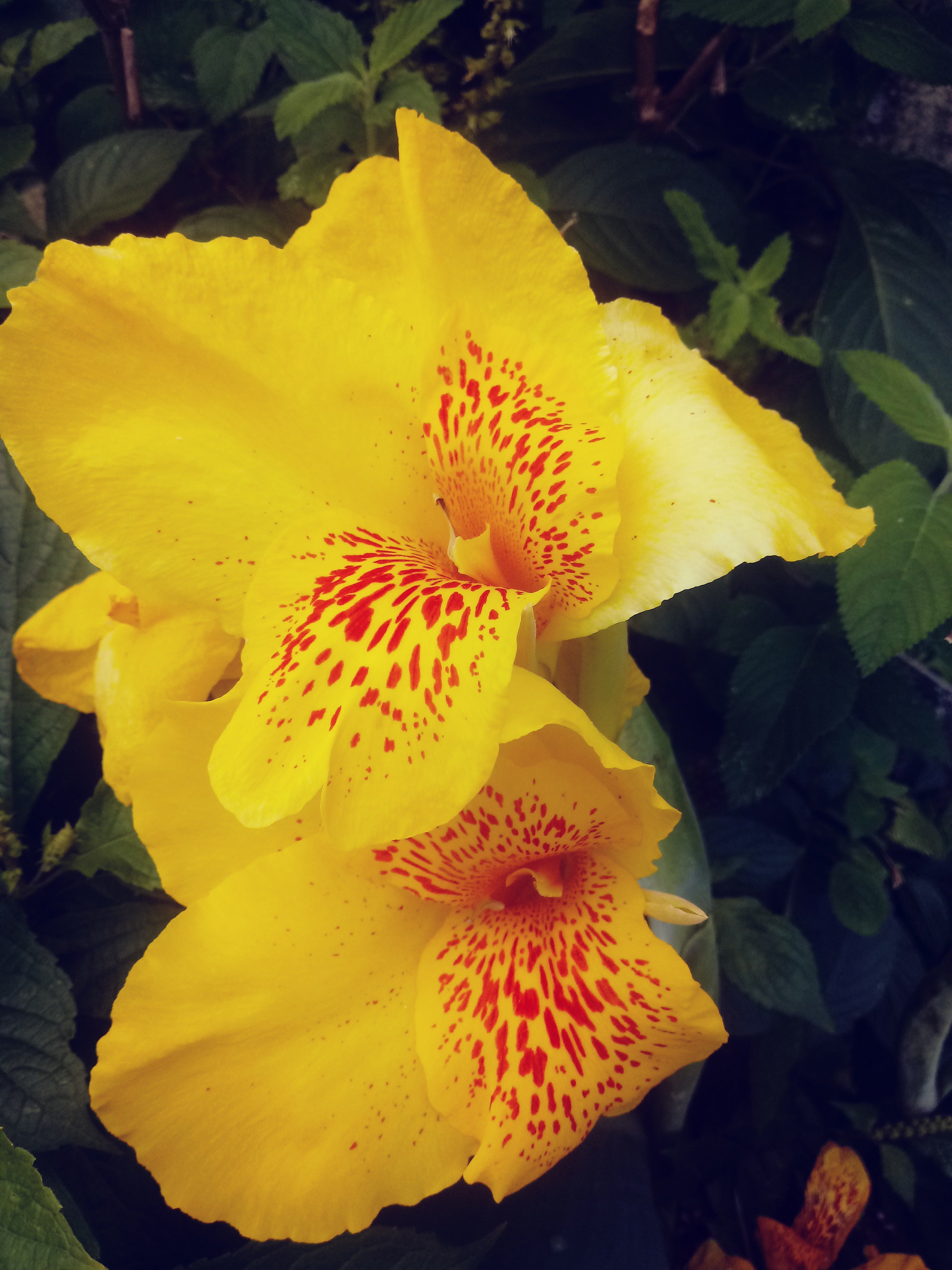 manda_Really's profile banner image