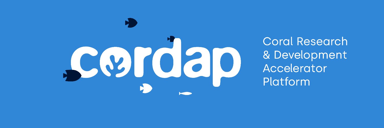 G20 CORDAP's banner