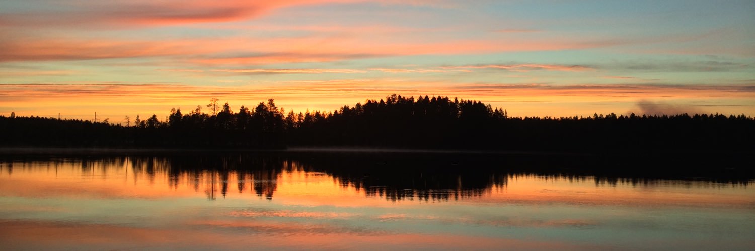 Andrey Gugnin banner