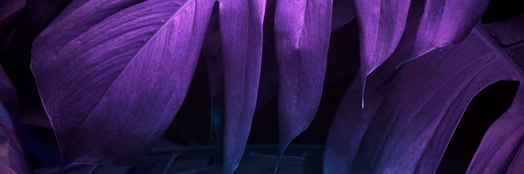 psytech's profile banner image