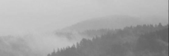 ryanhumanerror's profile banner image