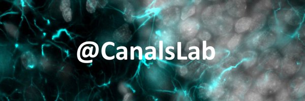 CanalsLab Profile Banner