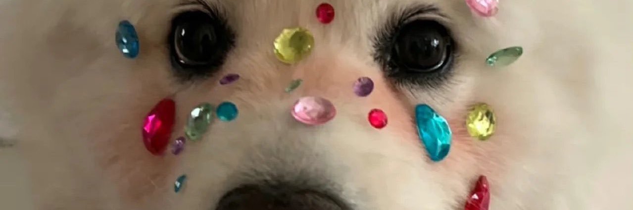 ferortizv's profile banner image