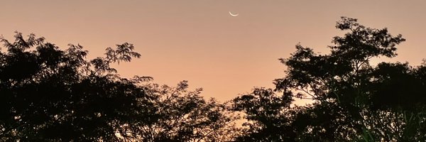 ilolilau Profile Banner