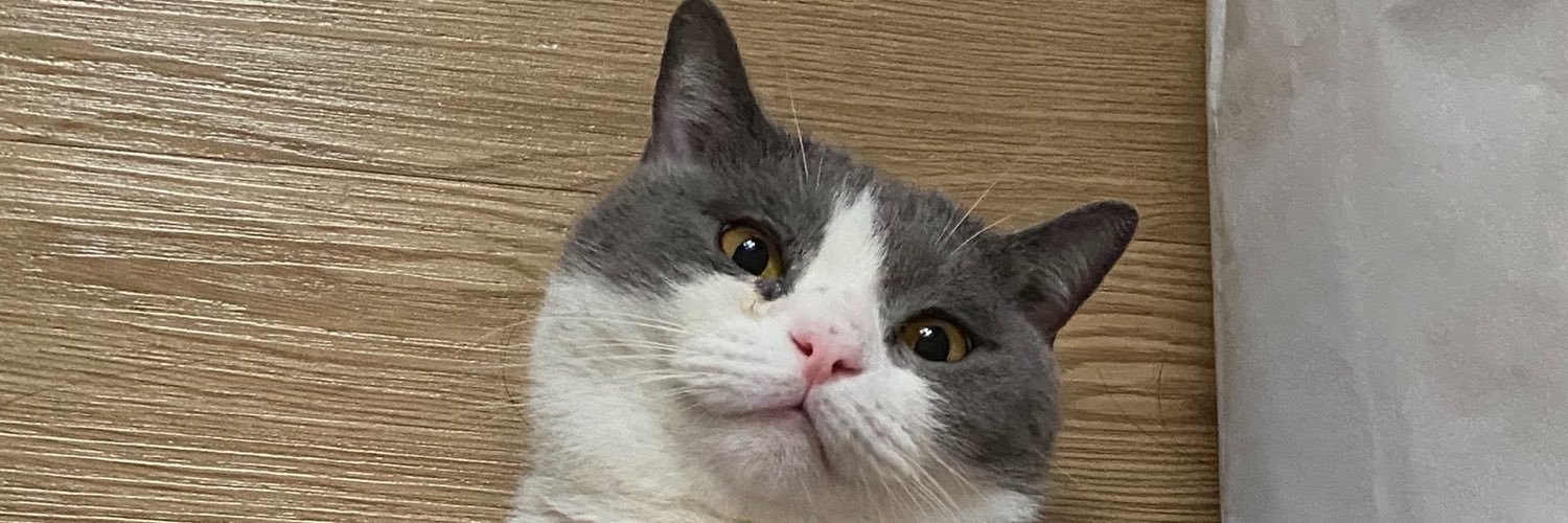 ftnsbrna_'s profile banner image