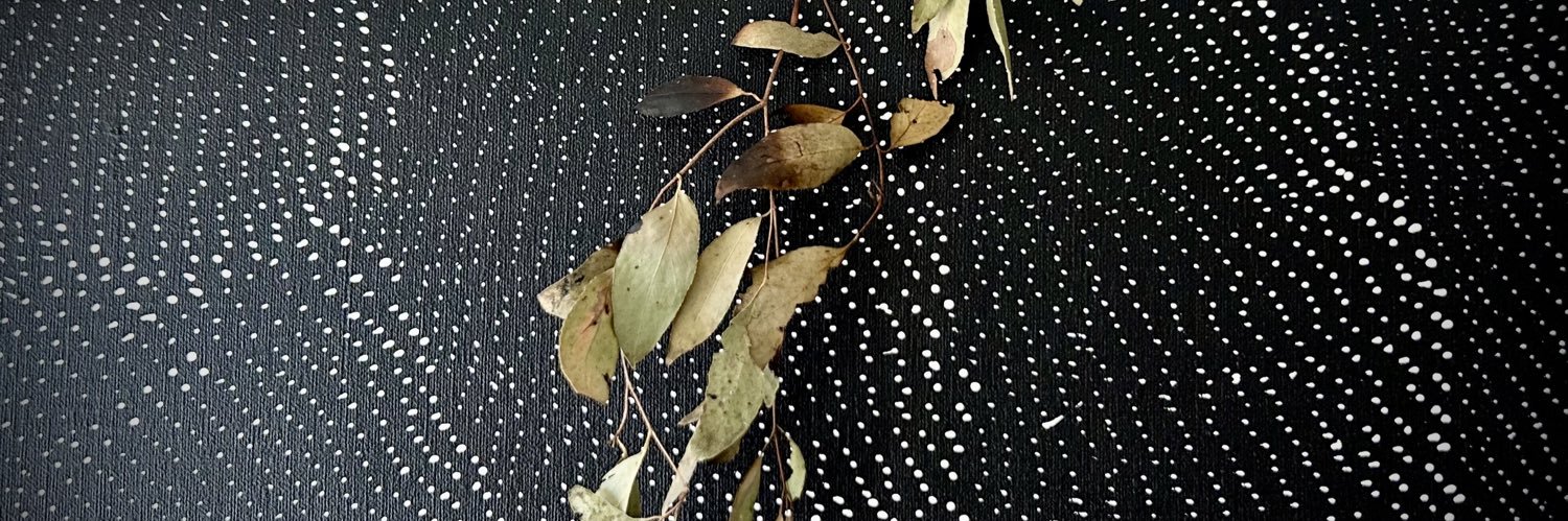 Ali Besiroglu banner