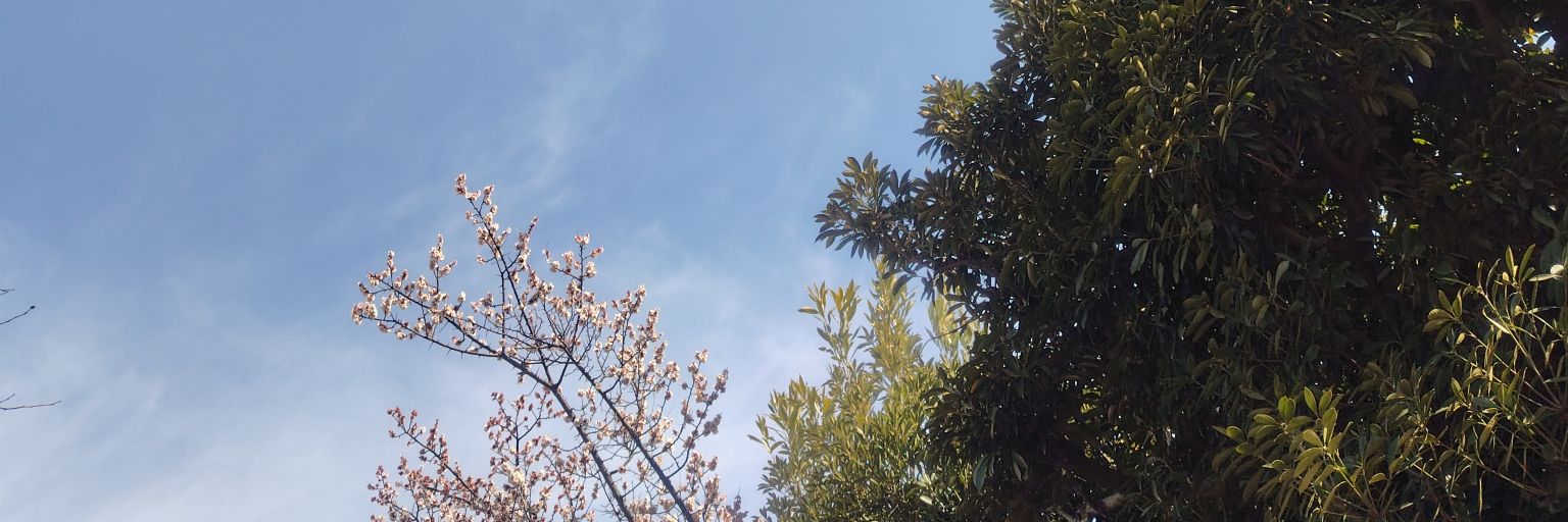 21_azure's profile banner image
