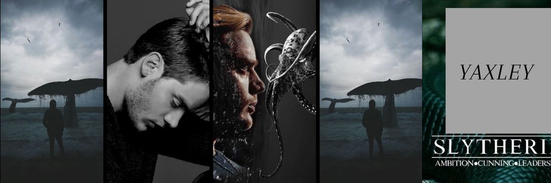 𝑫𝒐𝒎𝒊𝒏𝒊𝒄 𝒀𝒂𝒙𝒍𝒆𝒚 banner