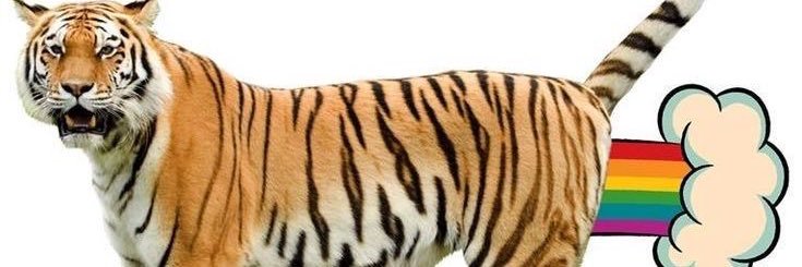 simpforhanni's profile banner image