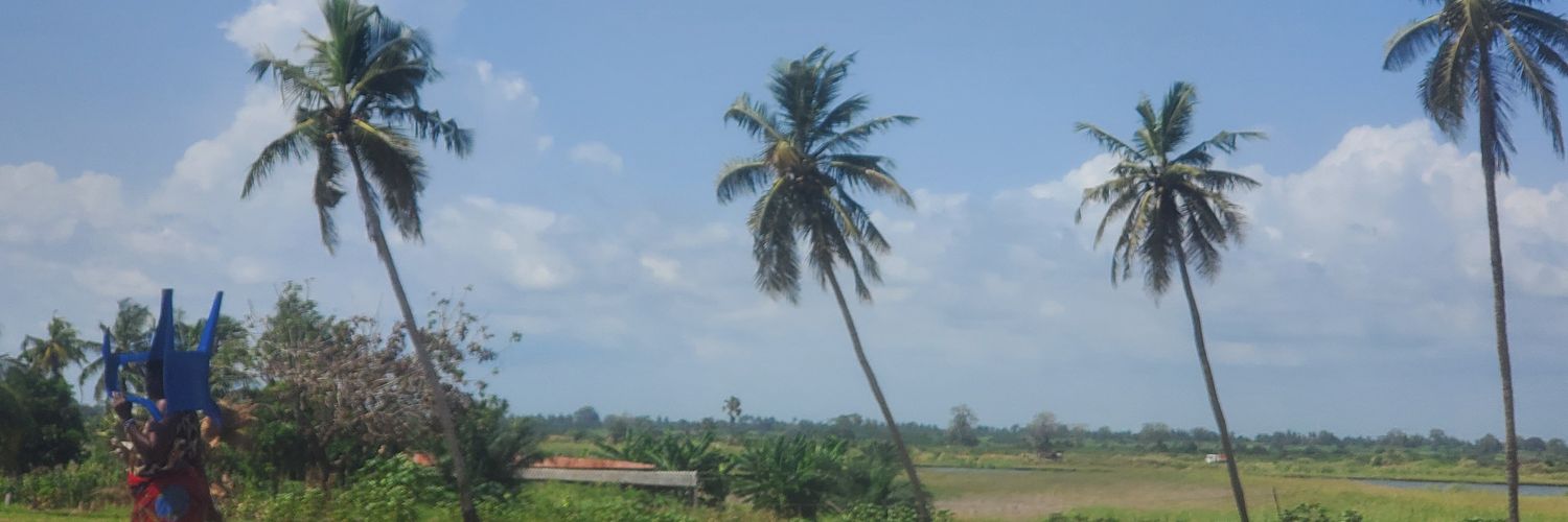 UlrichTelesphor's profile banner image