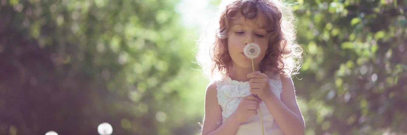 Proyecto Alpha banner