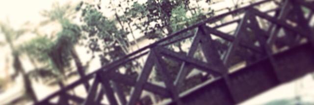 jcroav's profile banner image