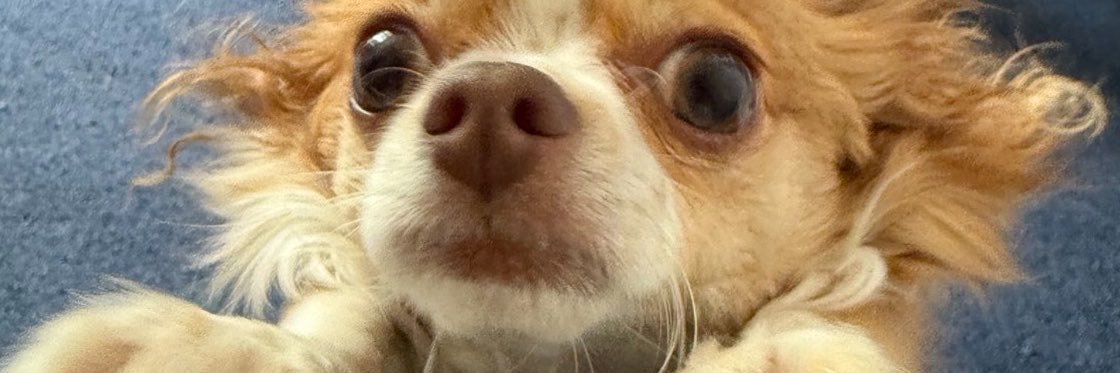 MayaaMclean5k's profile banner image