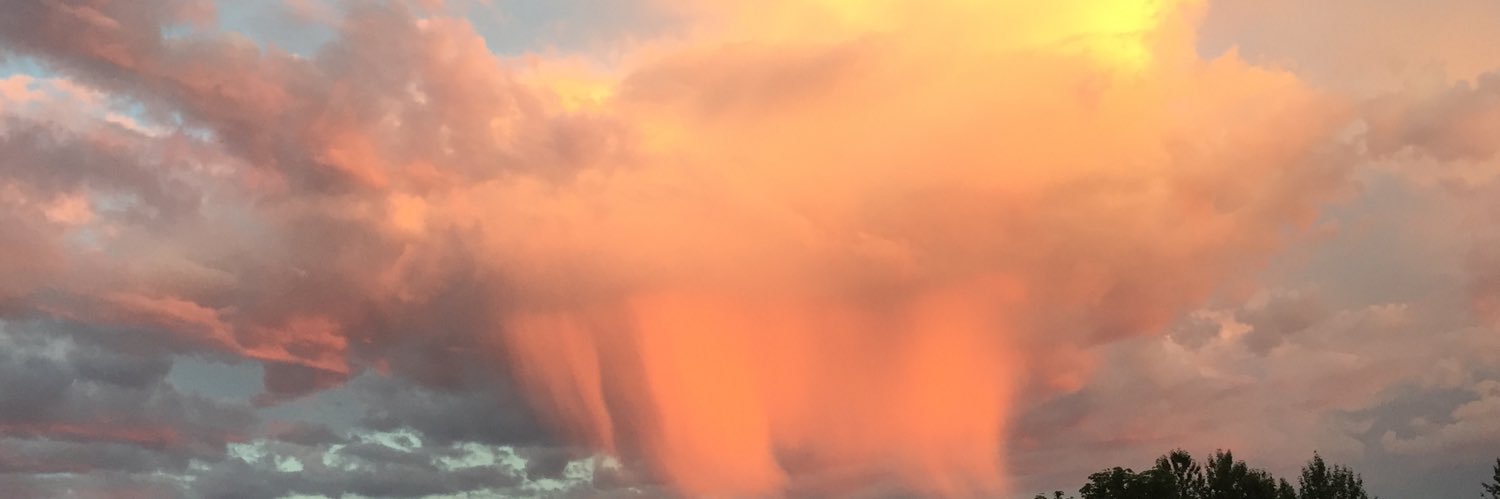 tanamac73's profile banner image