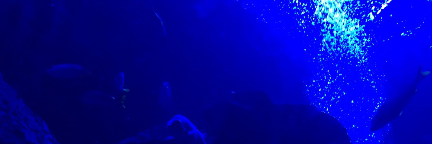 zangiT's profile banner image