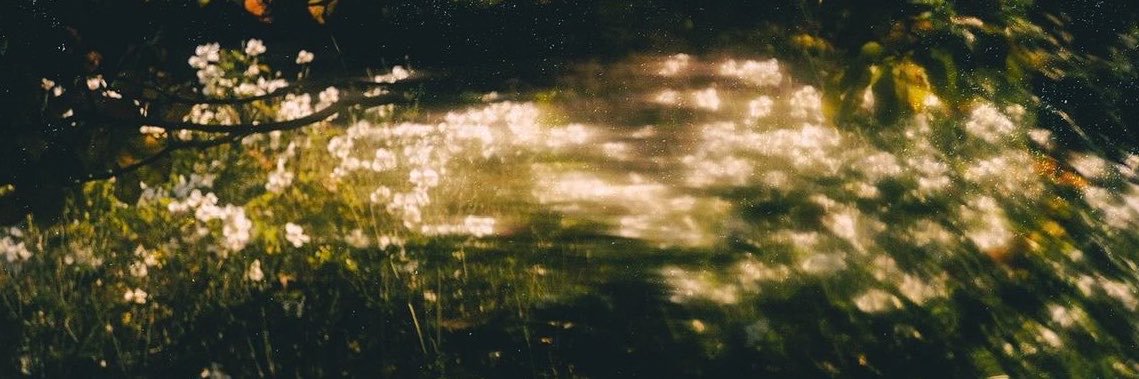 hiddennebula_'s profile banner image