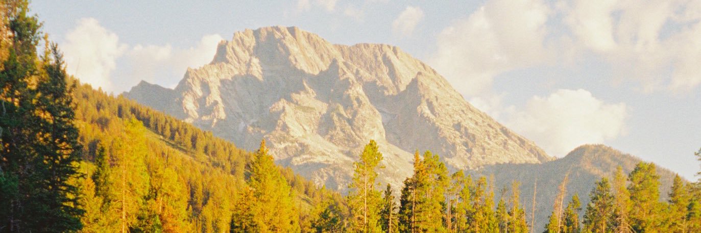 neseyyy's profile banner image