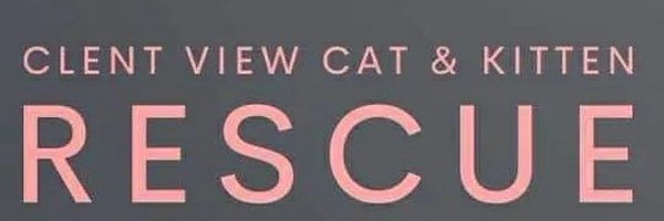 Clentviewrescue Profile Banner