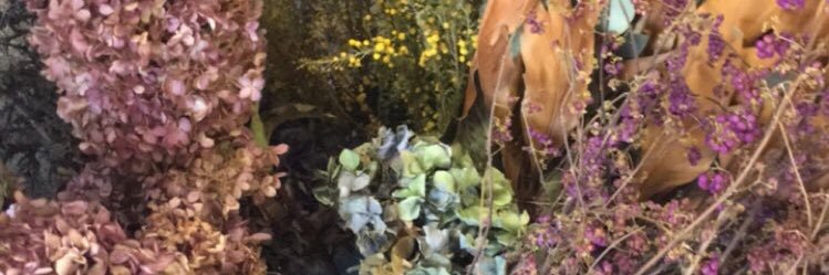 sgn8's profile banner image