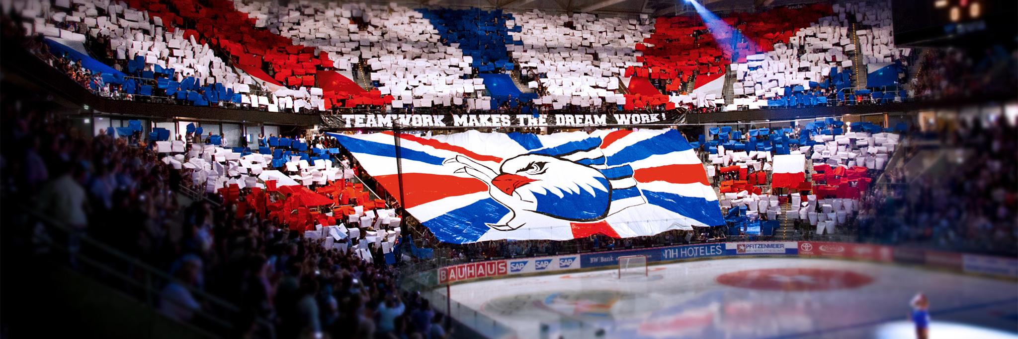 adlerfans's profile banner image