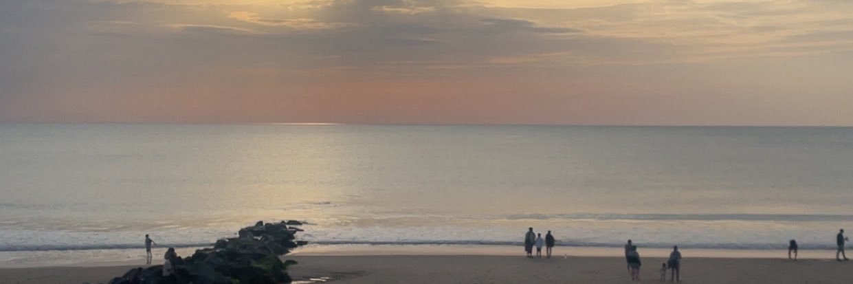 libellule_44's profile banner image