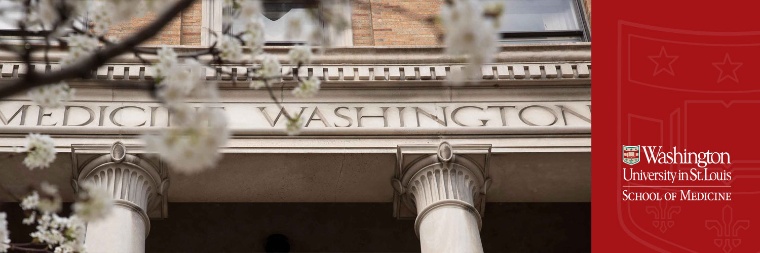 WashUMed Office of Diversity, Equity & Inclusion banner