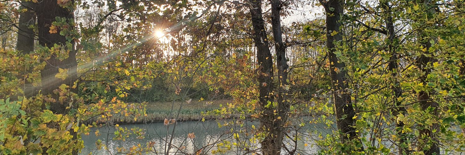 Lia Ehlerding banner