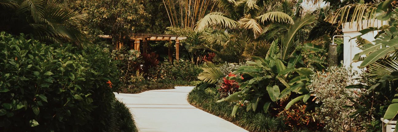 lexielee's profile banner image