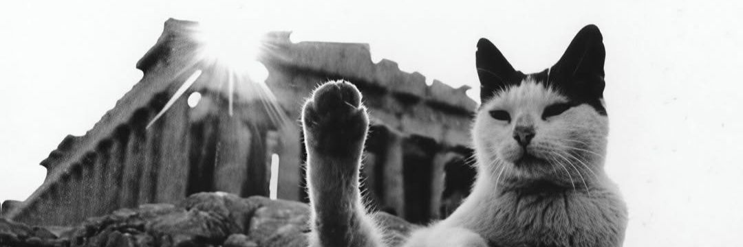 Bigotes y Brulotes banner