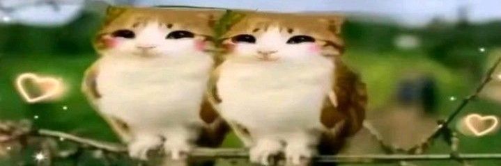 Kissy_missy85's profile banner image