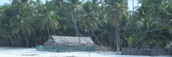 nkakade Profile Banner
