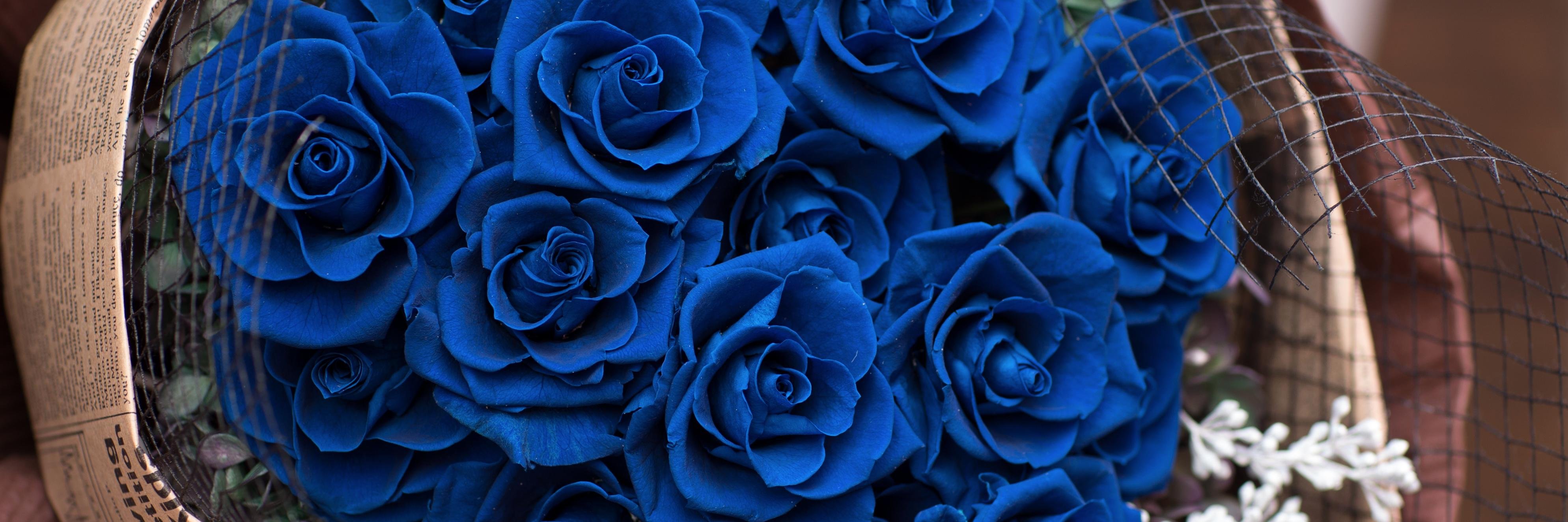 SARASTOUCH's profile banner image
