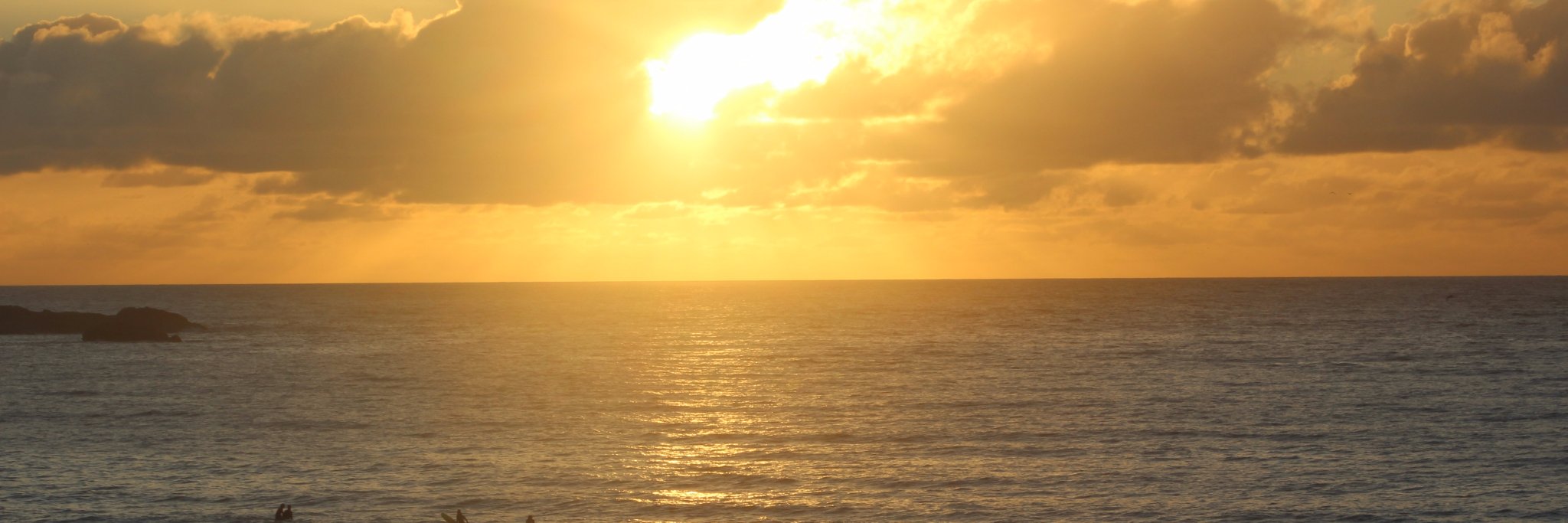 arveitch's profile banner image