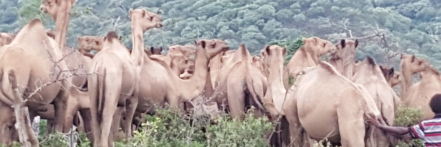 BHBadoul's profile banner image