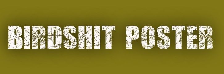 Cosmic Cowboy banner