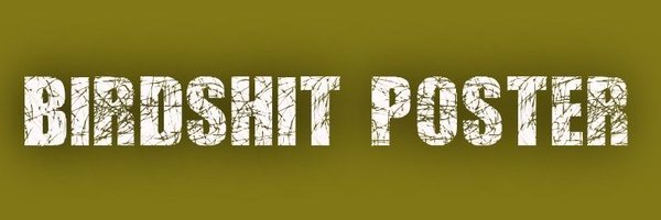 CosmicCowboy Profile Banner